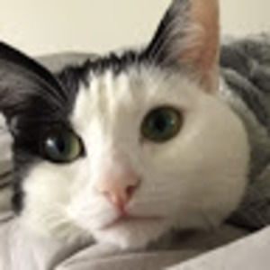 Meet your Posher, Giada